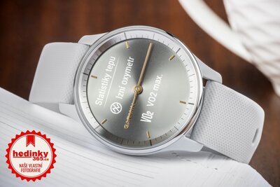 Garmin Vívomove Trend Silver / Mist Gray Band