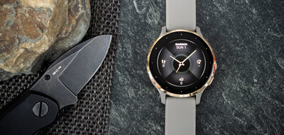 Garmin Venu 3S Cream Gold / French Gray, Silicone Band