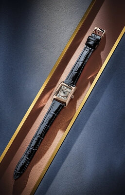 Frederique Constant Classics Carrée Ladies Quartz FC-200MCDC14