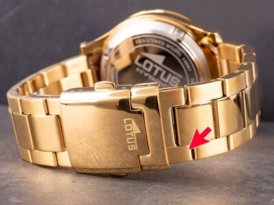 Lotus Connected L18802/2 (II. Jakost)