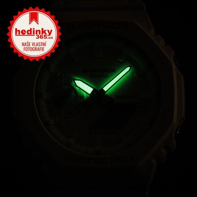 Casio G-Shock Original Tone-on-Tone GA-2100-7A7ER