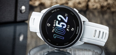 Garmin Forerunner 165, Mist Gray/Whitestone