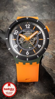 Swatch FALL-IAGE SB03G107