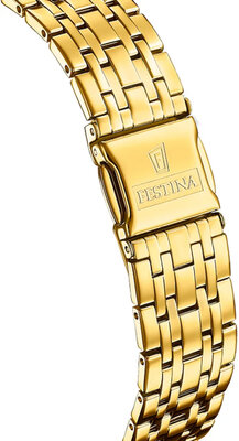 Festina Swiss Made 20046/5