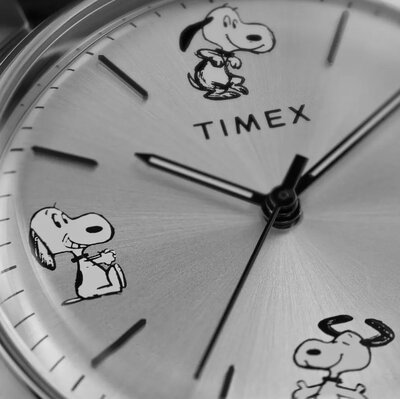 Timex X Peanuts Sketch Automatic TW2W54000