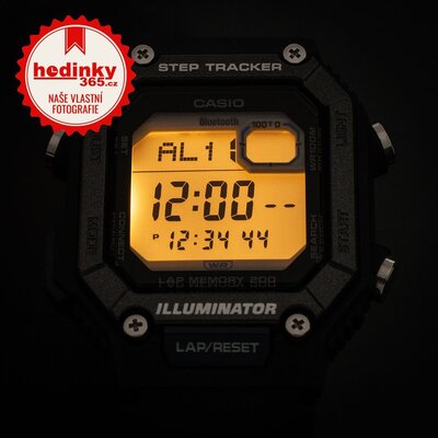 Casio Collection WS-B1000-1AVEF