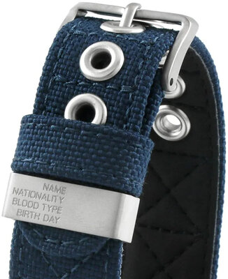 Citizen Promaster Solar Tough Super Titanium BN0118-12L