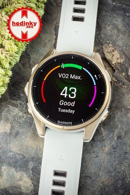 Garmin Fenix 8 AMOLED 43 mm, Sapphire Soft Gold Stainless Steel Fog Gray (II. Jakost)