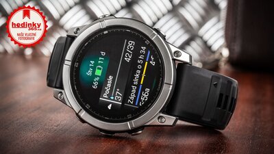Garmin Fenix E Gray Steel Black