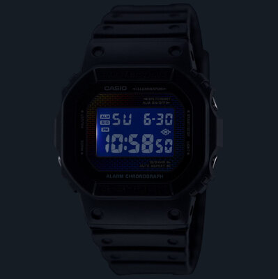 Casio G-Shock Original DW-5600RW-1ER