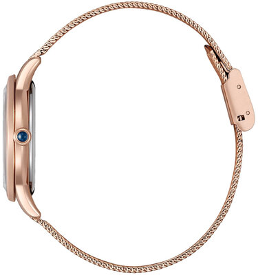 Citizen Elegant Eco-Drive EM1153-88A