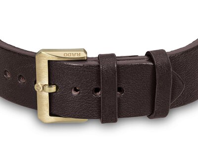 Rado Captain Cook Bronze Automatic R32504306