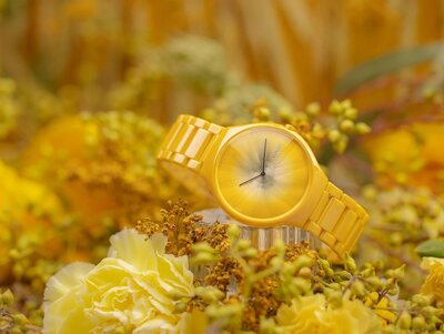 Rado True Round Thinline X Great Gardens of the World Quartz R27122252