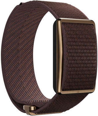 Polar Loop, S-L hnědá