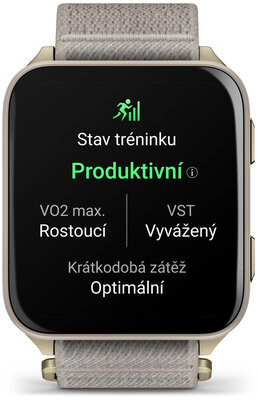 Garmin Venu X1 Soft Gold