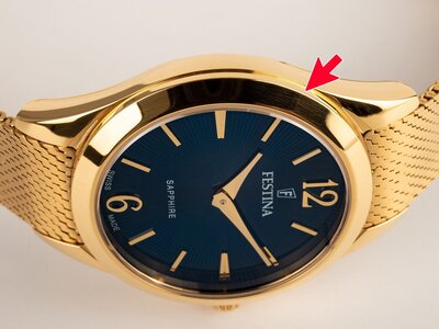 Festina Swiss Made 20077/4 (II. Jakost)