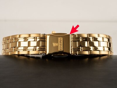 Festina Classic Bracelet 20514/3 (II. Jakost)