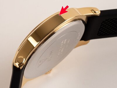 Guess Annette GW0860L1 (II. Jakost)