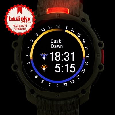 Polar Street X Forest Green