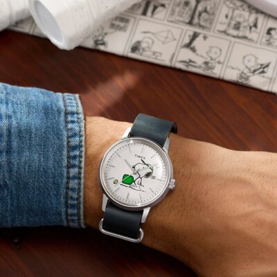 Timex Peanuts TW2Y50500UK