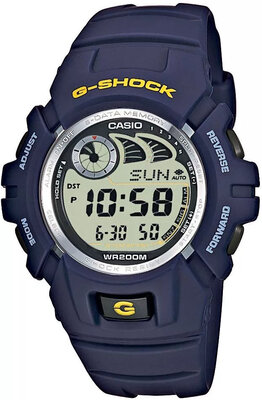 Casio G-Shock Original G-2900F-2VER