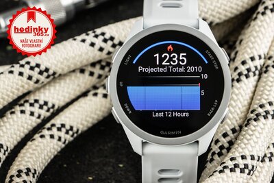 Garmin Forerunner 170 Music Whitestone/Cloud Blue