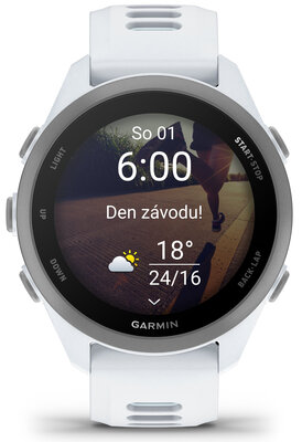 Garmin Forerunner 170 Whitestone/Cloud Blue