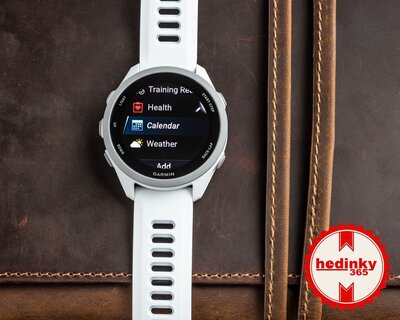 Garmin Forerunner 170 Whitestone/Cloud Blue