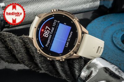 Garmin Fenix 9 Pro AMOLED 43mm, inReach, Autumn Gold Titanium Cream/French Gray