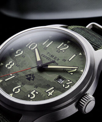 Timex Expedition Sierra Quartz TW2Y89500