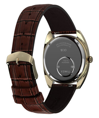 Timex Lab 1976 Reissue Quartz TW2Y87200